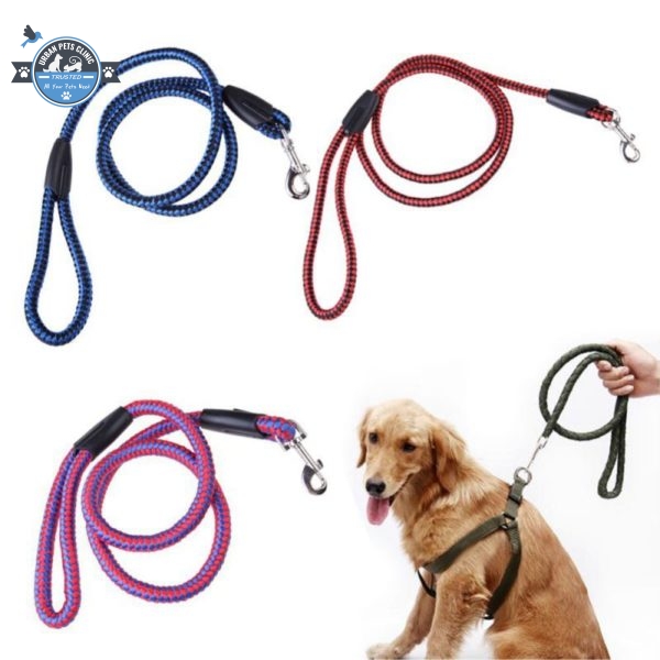 5 foot dog leash